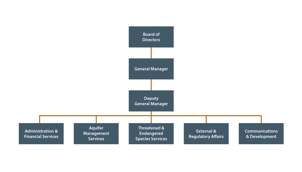 EAA Organizational Chart