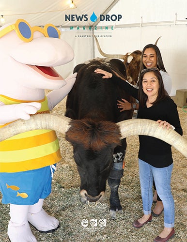 News Drop Magazine-Spring 2020