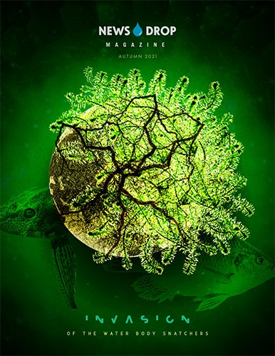 NewsDrop-Autumn-2021