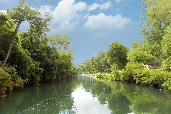 green river with trees on both sides