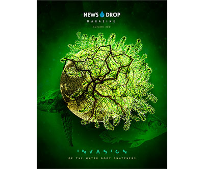 fall 2021 newsdrop magazine cover