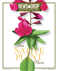 February 2024 newsdrop magazine cover