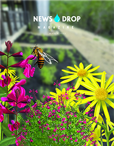 march 2023 newsdrop magazine cover