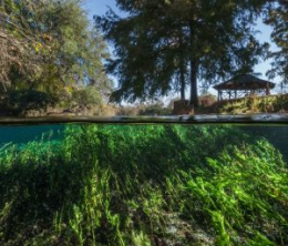 Managing and Studying Texas’s Edwards Aquifer