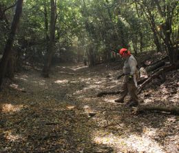 The Trailist: Headwaters at Incarnate Word Lets You Give Back to Nature