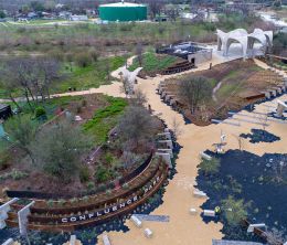 How an endangered salamander forced a Texan city to save water