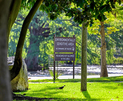 A Decade of Delivering – EAHCP celebrates 10 years of habitat conservation