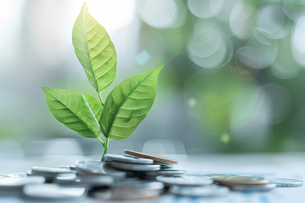 plant sprouting from coins in water