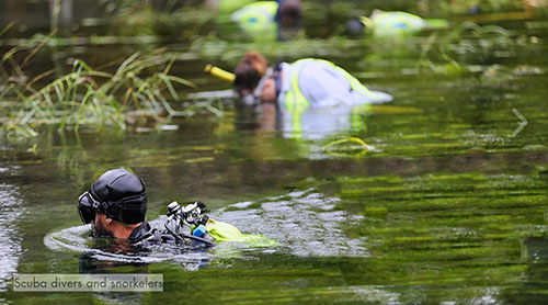Aiming for a Clean Sweep – Meadows Center HCP Crew Keeps Invasive Plants Out of the San Marcos River