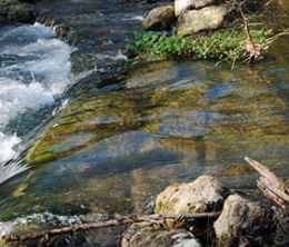 San Marcos, Kyle Call For Volunteers For Great Texas River Clean Up 2019