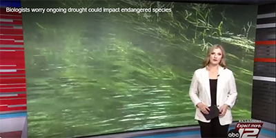 Biologists worry ongoing drought could impact endangered species on news station