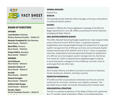 EAA Fact Sheet 2021