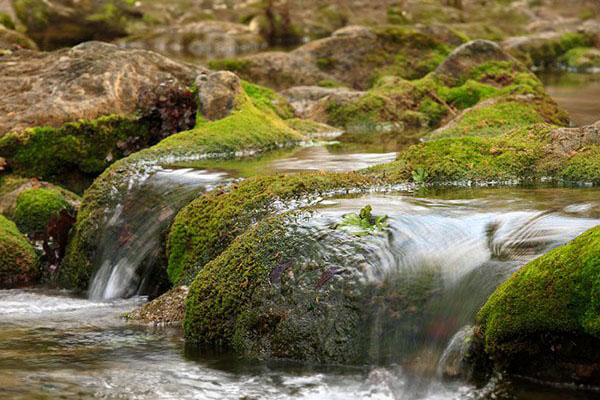 Stream flowing over mossy rocks