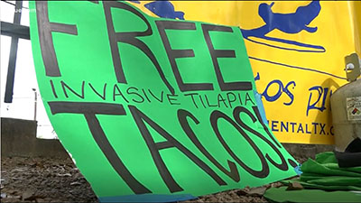 Environmental group holds free fish fry, gives tacos made from invasive species found in San Marcos, Comal Springs