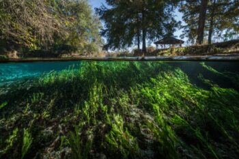 Edwards Aquifer Authority: ‘Stage four water restrictions likely’
