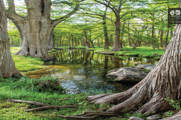 Picture of Hays County Ranch