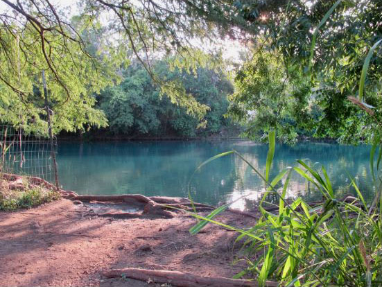 Researchers have identified a parasite that may threaten plants and animals living in the San Marcos River — a critical habitat for several endangered species