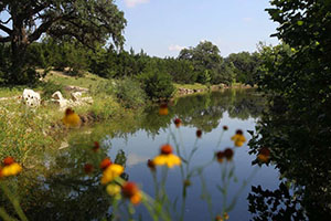 San Antonio mayor navigating troubled waters over plan to reroute aquifer protection tax funding