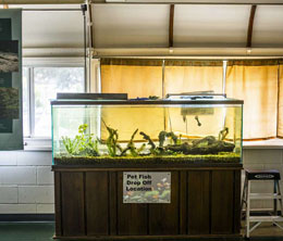You don’t belong here: A quest to oust an invasive species from South Texas’ ecosystem