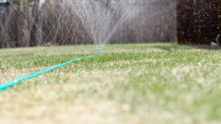 SAWS to keep Stage 2 water restrictions in place despite EAA moving to Stage 4