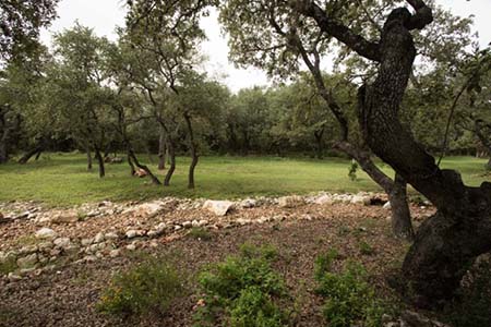 City Officials Propose Keeping Aquifer Protection Program In-House