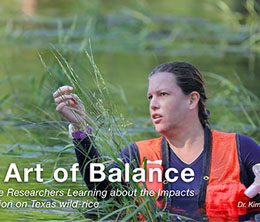 The Art of Balance – Texas State Researchers Learning about the Impacts of Recreation on Texas wild-rice