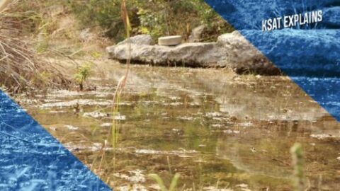 The creation of the Edwards Aquifer Authority