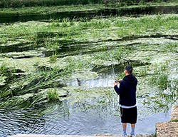 man fishing in San marcos river