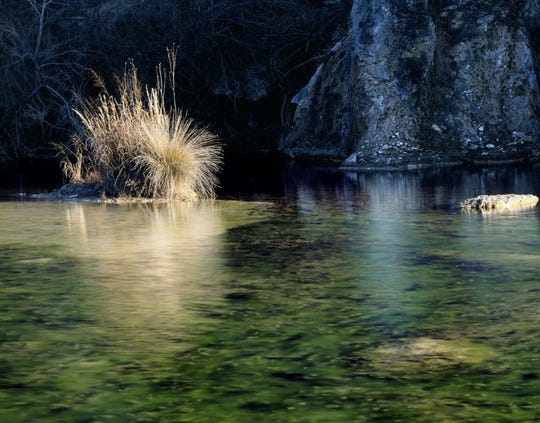New Texas conservation area boasts hundreds of springs