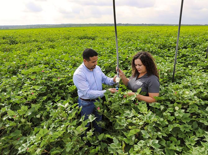 people checking irrigation