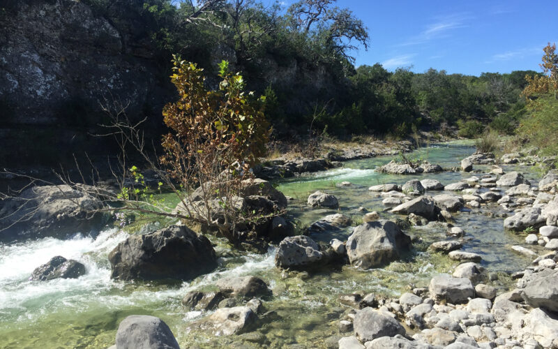 rocks in a river