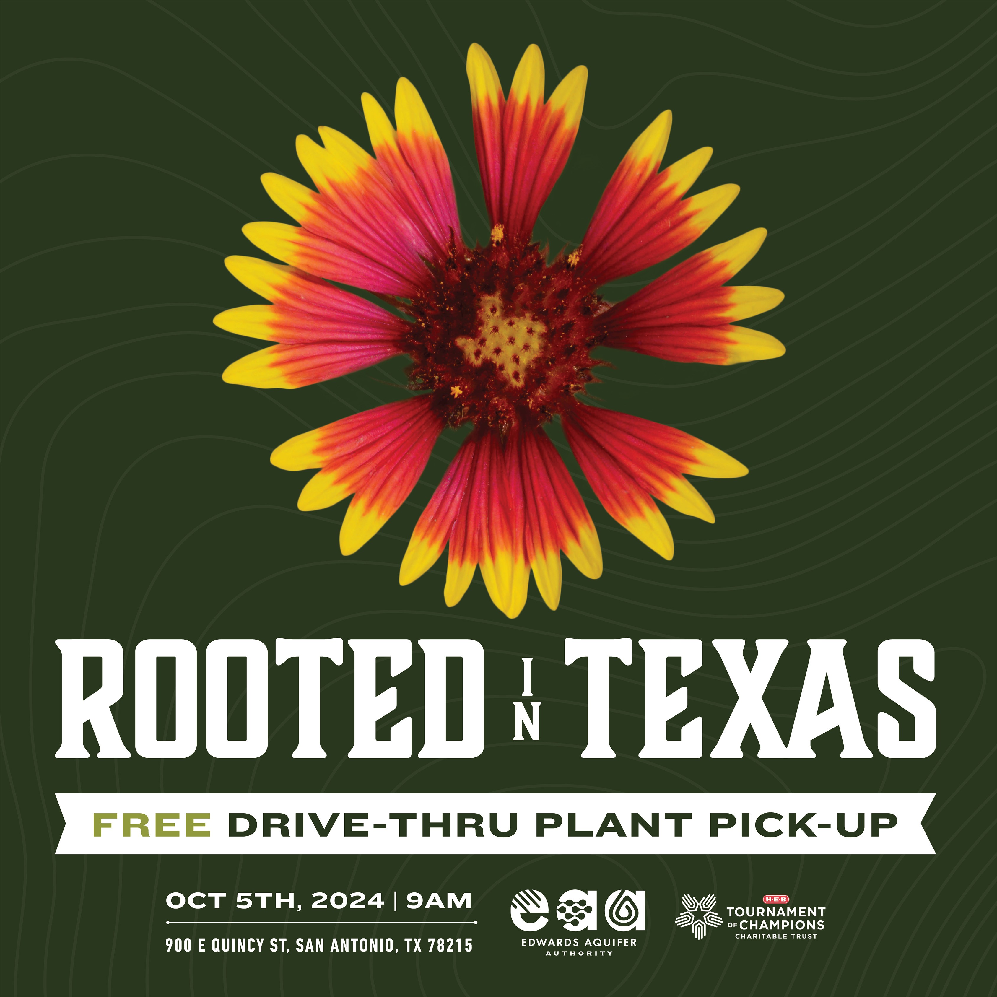 Rooted in Texas