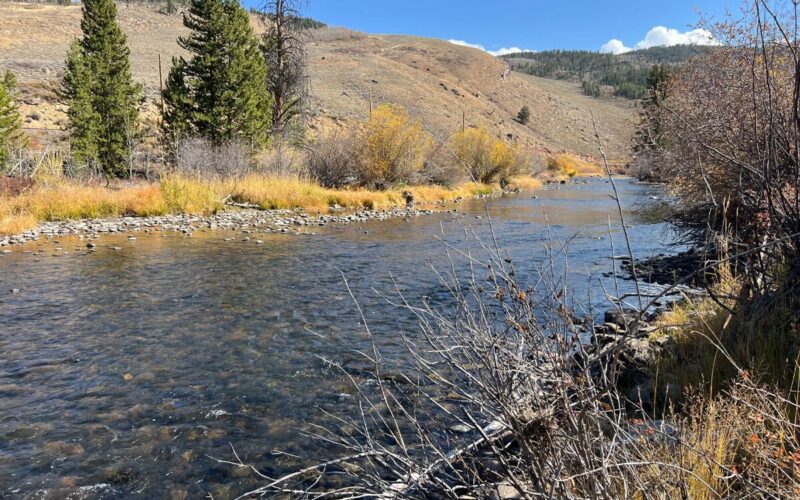 Picture of a river