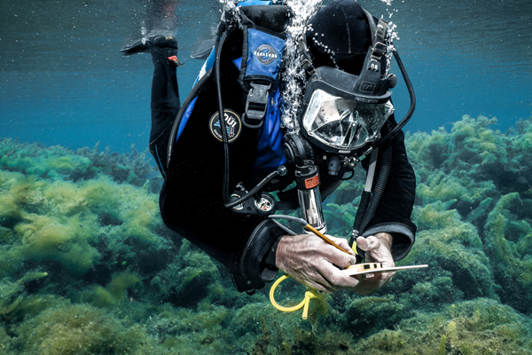 A diver conducts salamander sampling in the San Marcos River at Spring Lake. The diver, wearing full scuba gear including a wetsuit, mask, and oxygen tank, is submerged in clear blue water surrounded by aquatic vegetation and algae-covered rocks. They are focused on recording data on an underwater writing slate, showcasing a scientific research activity in progress. The image highlights both the diver's methodical task and the vibrant underwater ecosystem of this spring-fed habitat.