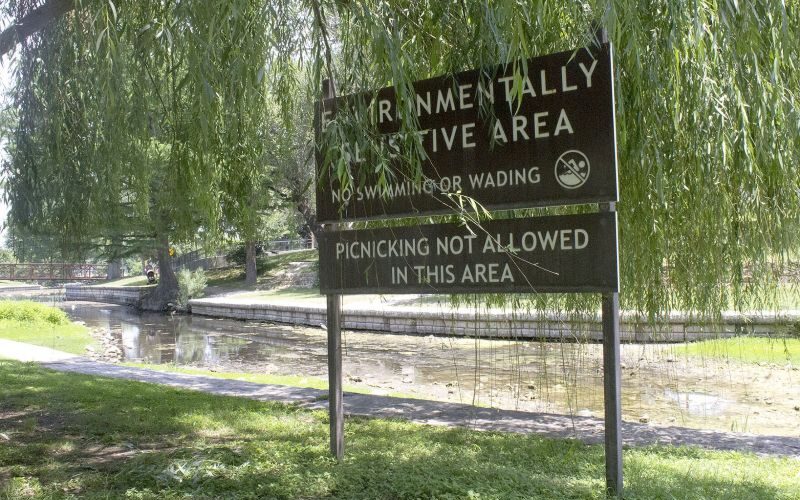 A brown and white sign stands beneath drooping willow tree branches beside a small stream or river. The sign reads: “ENVIRONMENTALLY SENSITIVE AREA. NO SWIMMING OR WADING” and below that, “PICNICKING NOT ALLOWED IN THIS AREA.” The area is grassy with paved walkways and shaded by numerous trees, with sunlight filtering through. A gently curving concrete embankment lines the waterway, which appears calm and shallow. The atmosphere is peaceful and natural, indicating a protected environment