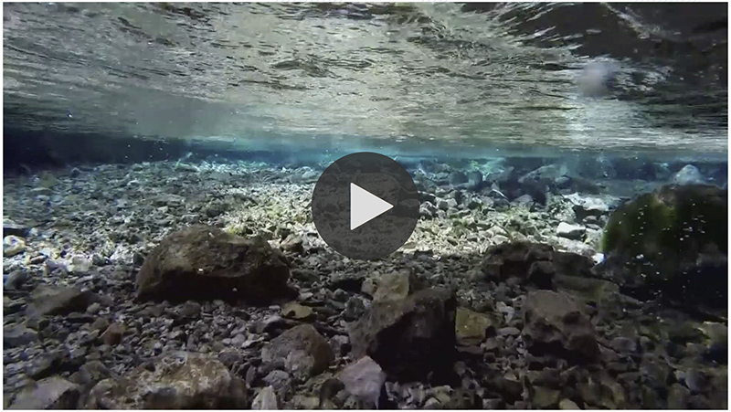 Edwards Aquifer managers declare Stage 5 restrictions for the first time