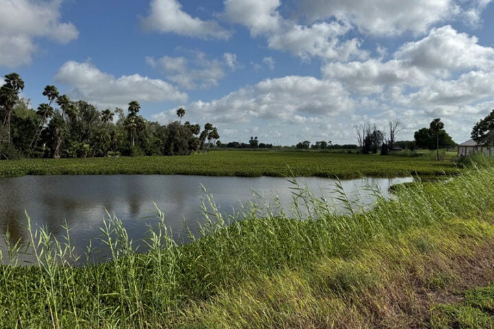 TWDB Agricultural Water Conservation Program helps producers use water wisely