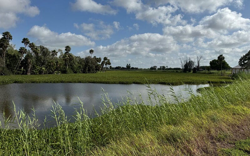 TWDB Agricultural Water Conservation Program helps producers use water wisely