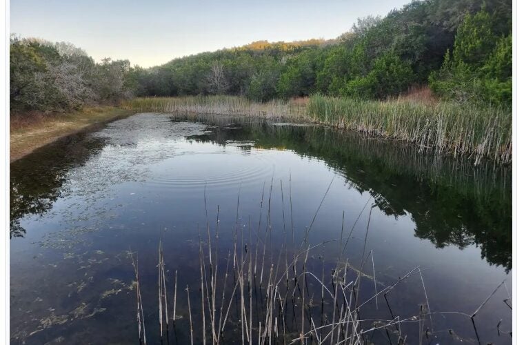Texas State University System approves purchase of 128 acres adjacent to Spring Lake