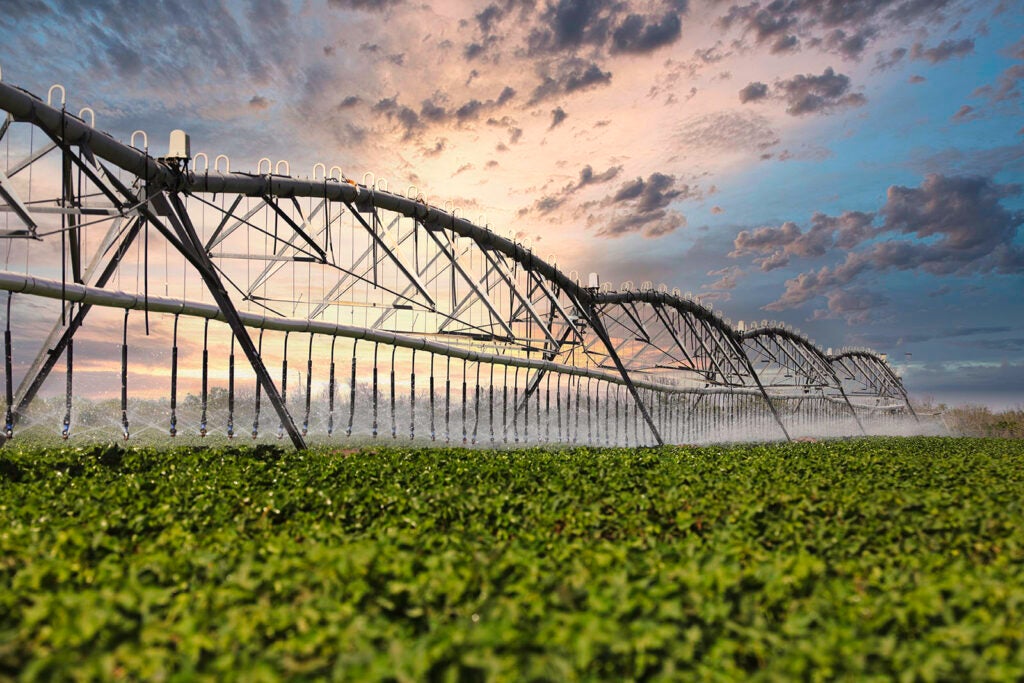 Pivot Irrigation at McFadin Farm