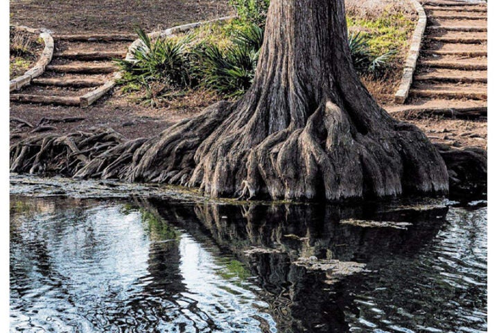 After rains aquifer restrictions are eased-San Antonio Express News