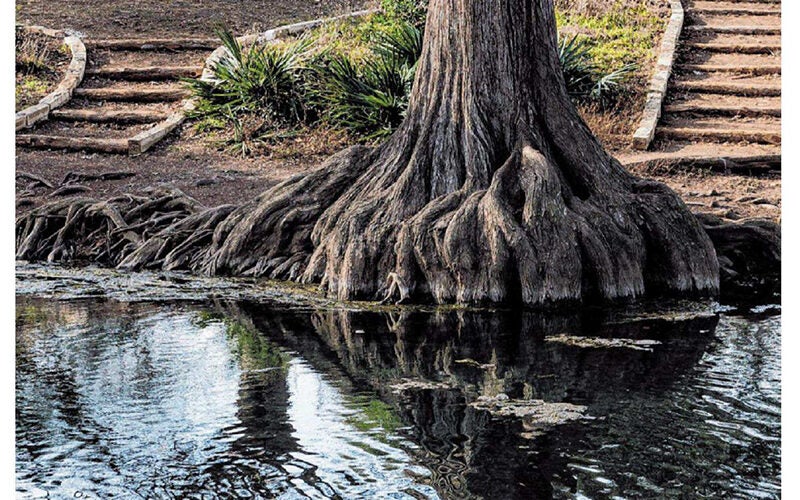 After rains aquifer restrictions are eased-San Antonio Express News