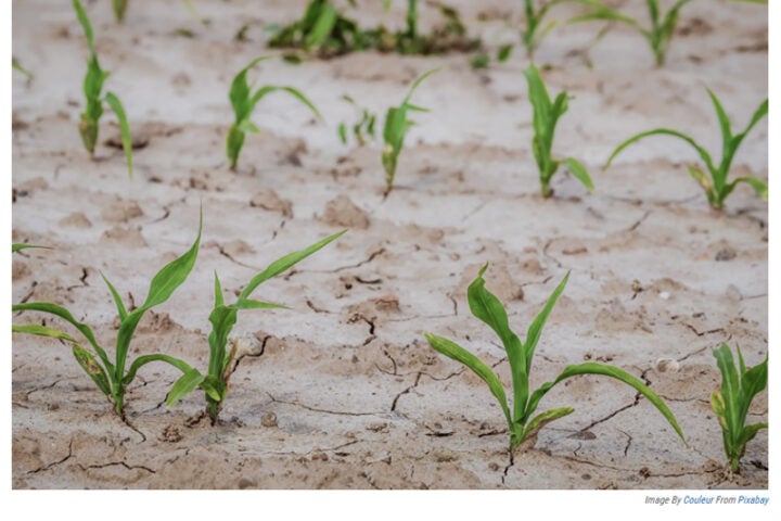 Edwards Aquifer rises after April rain, but drought remains for South Texas farmers
