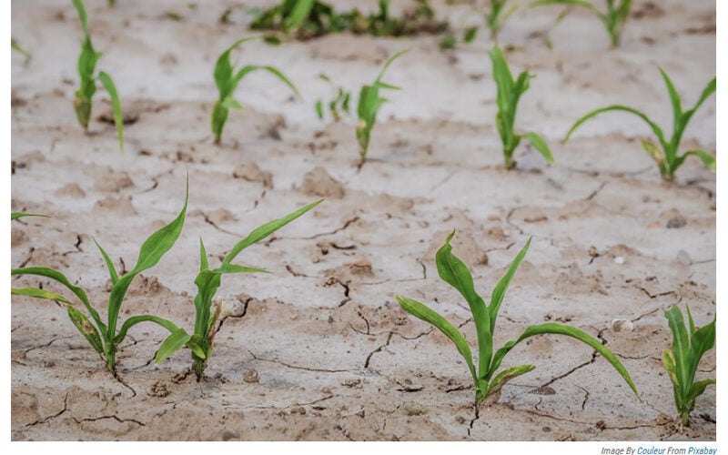 Edwards Aquifer rises after April rain, but drought remains for South Texas farmers