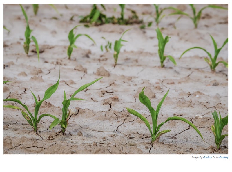 Edwards Aquifer rises after April rain, but drought remains for South Texas farmers