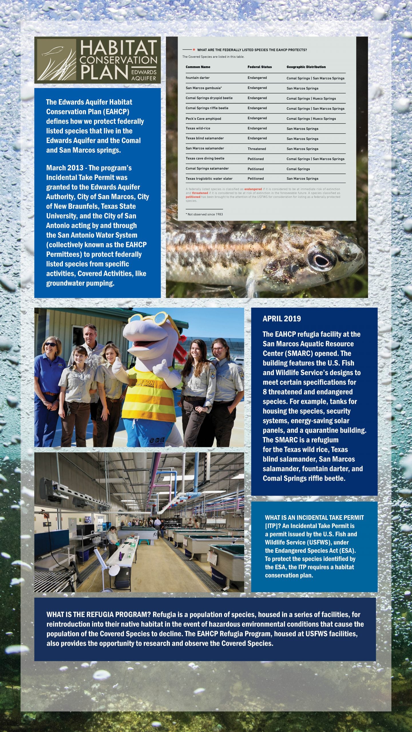 Edwards Aquifer Habitat Conservation Plan