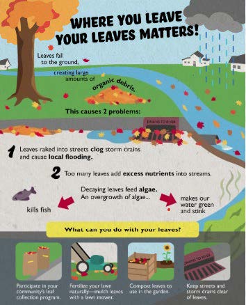 Where You Leave Your Leaves Matters!