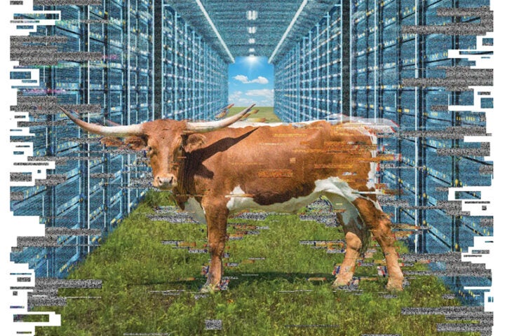 How Data Centers Are Eating Up Rural Texas