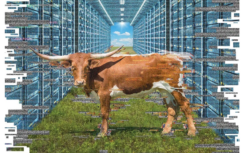 How Data Centers Are Eating Up Rural Texas
