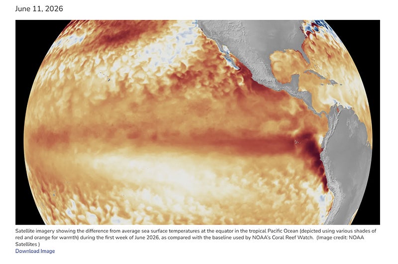 El Nino forms, expected to strengthen, say NOAA forecasters